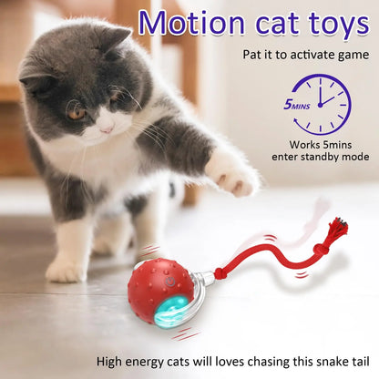 Cat Rolling Ball Bird Chirping Interactive Cats Toys