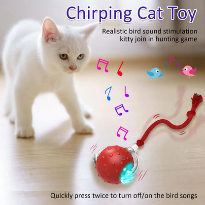 Cat Rolling Ball Bird Chirping Interactive Cats Toys