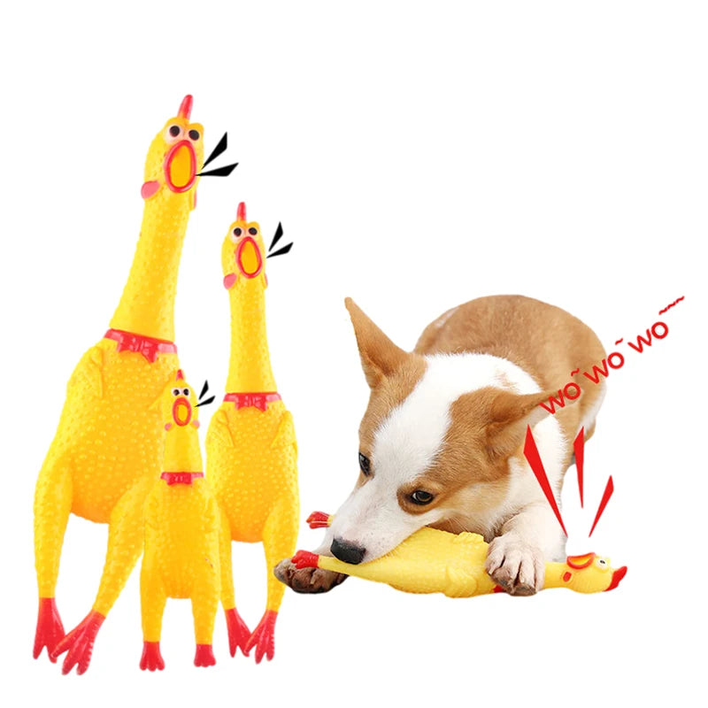 Screaming Chicken Dog Toy