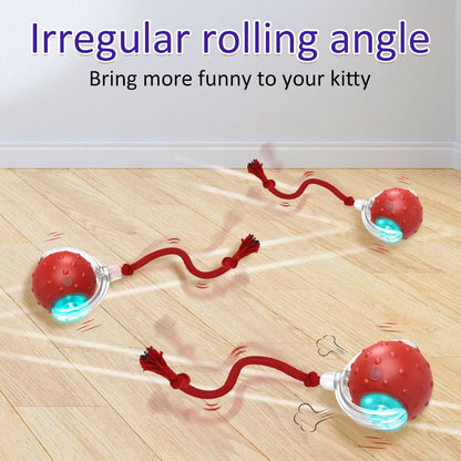 Cat Rolling Ball Bird Chirping Interactive Cats Toys